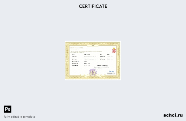 цифровая загрузка свидетельства о браке в Сербии, шаблон Word и PDF